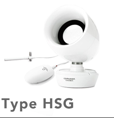 Type HSG